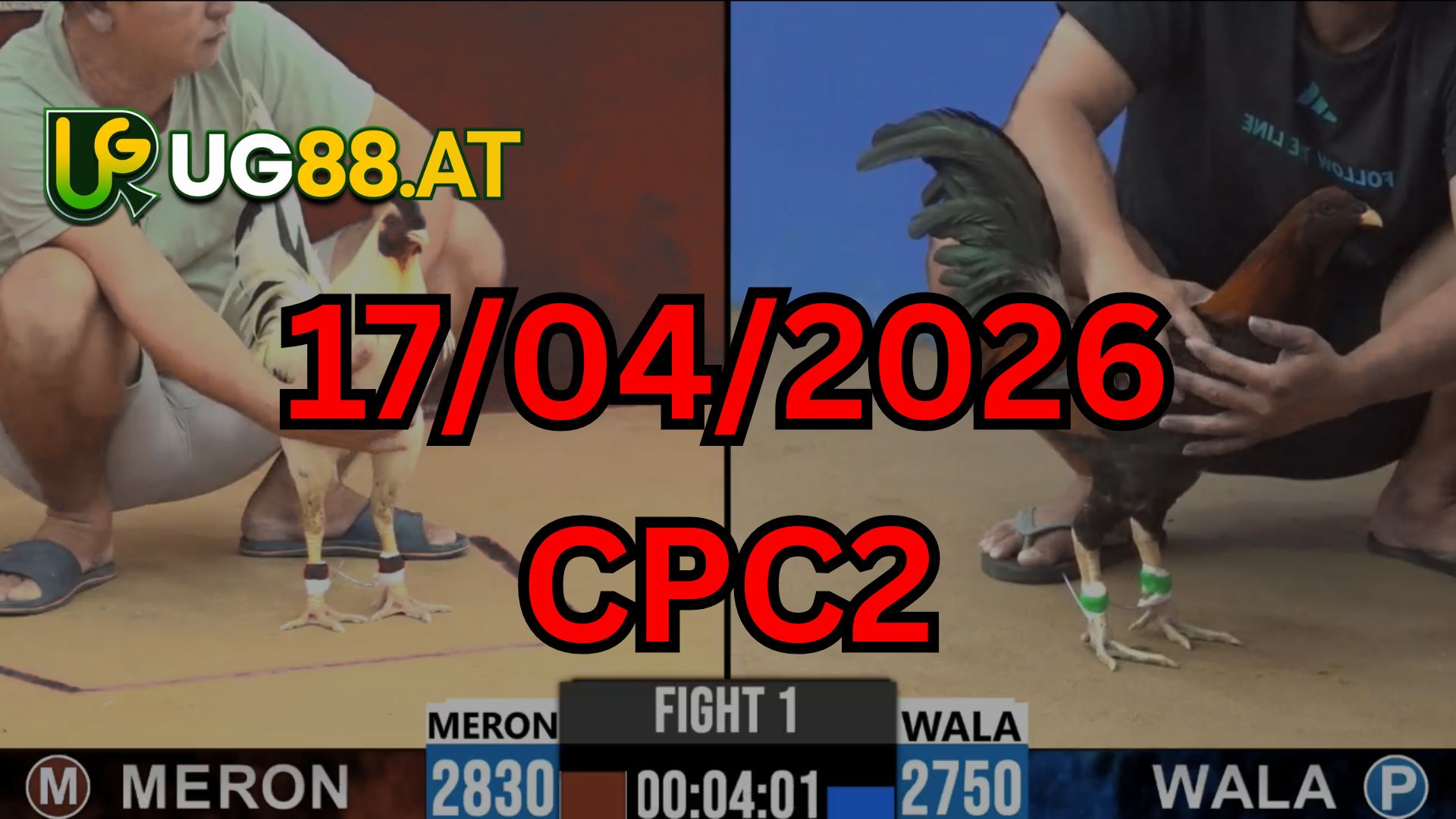 Video đá gà CPC2 Thomo hôm nay 17/04/2026