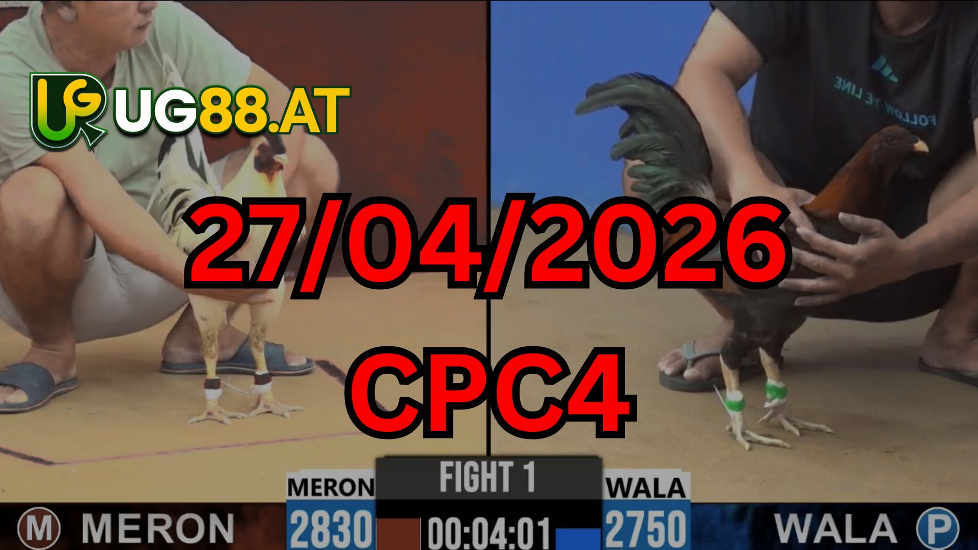 Video đá gà CPC4 Thomo hôm nay 27-04-2026