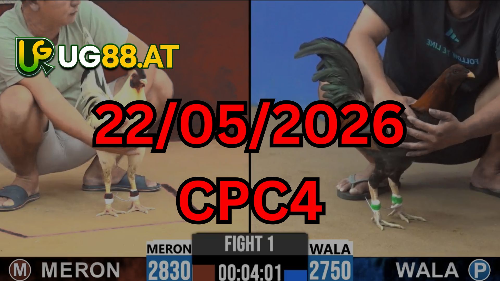 Video đá gà CPC4 Thomo hôm nay 22-05-2026
