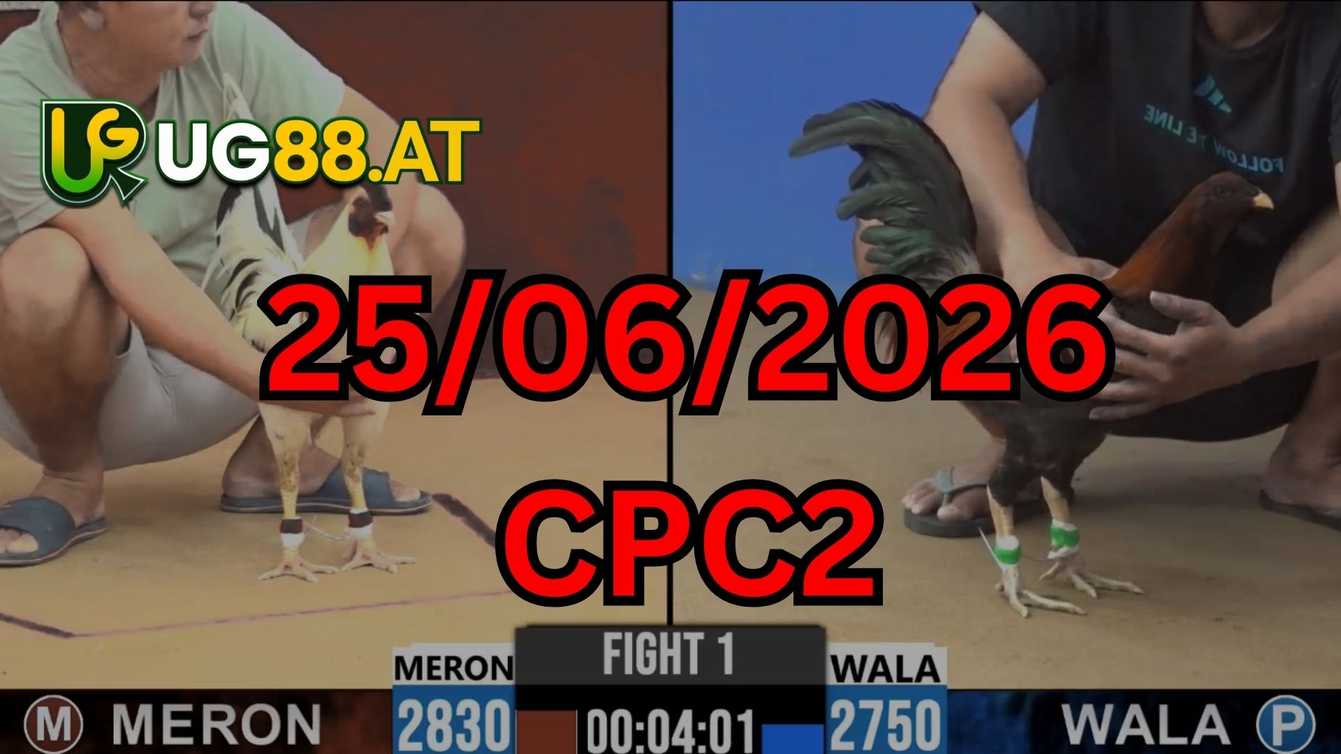 Video đá gà CPC2 Thomo hôm nay 25-06-2026