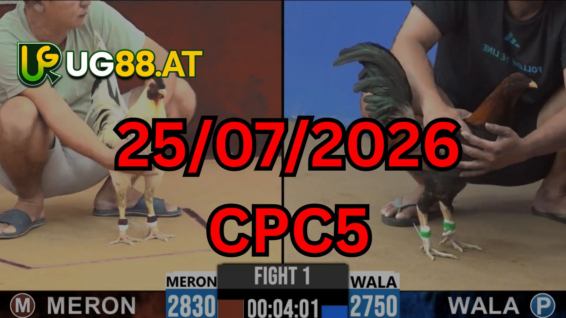 Video đá gà CPC5 Thomo hôm nay 25-07-2026