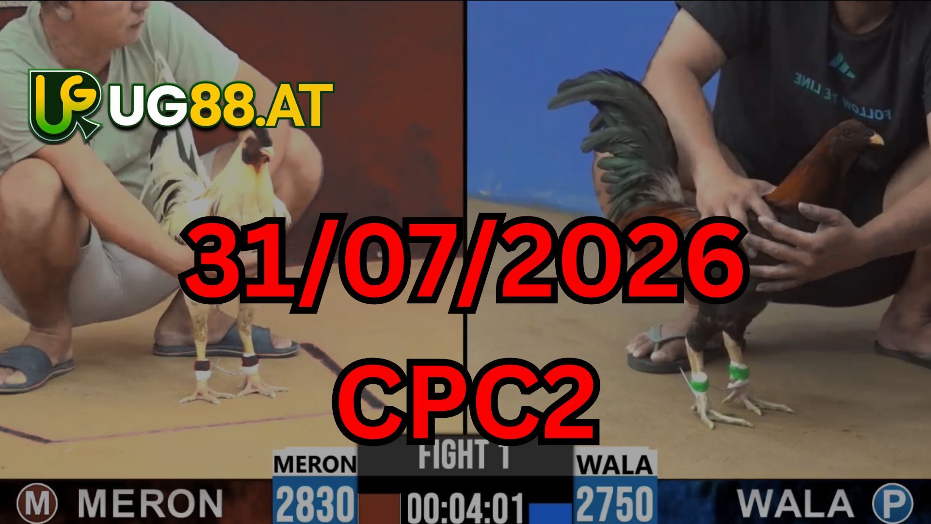 Video đá gà CPC2 Thomo hôm nay 31-07-2026