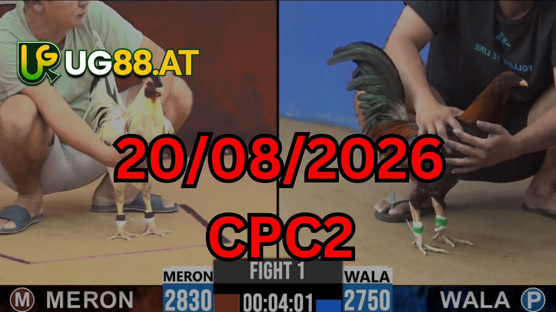 Video đá gà CPC2 Thomo hôm nay 20-08-2026