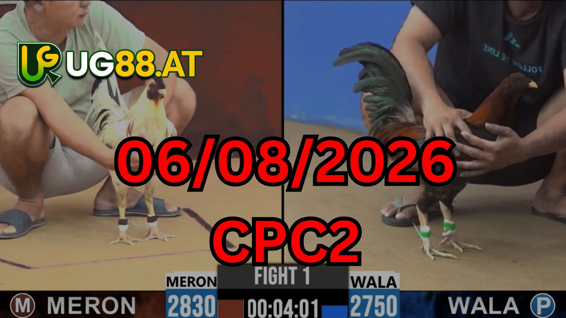 Video đá gà CPC2 Thomo hôm nay 06-08-2026