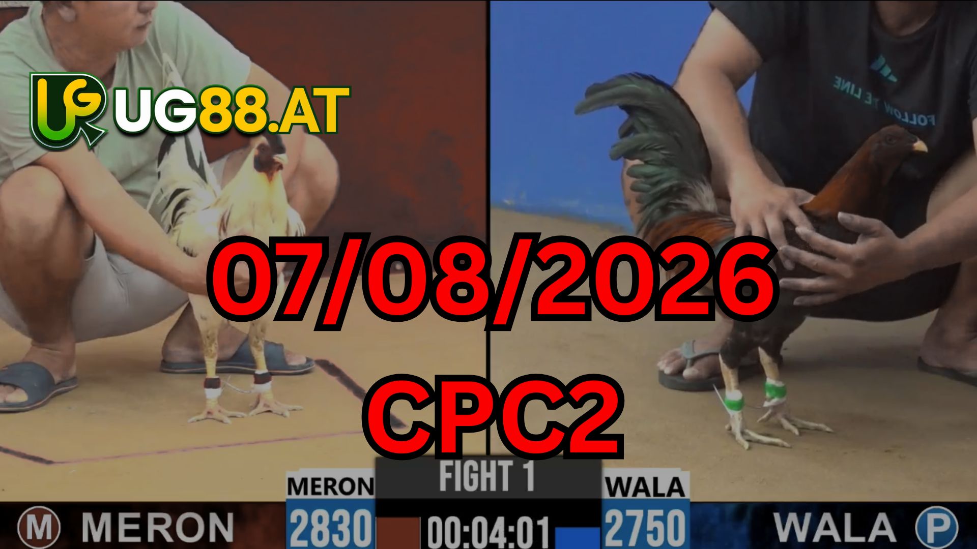 Video đá gà CPC2 Thomo hôm nay 07-08-2026