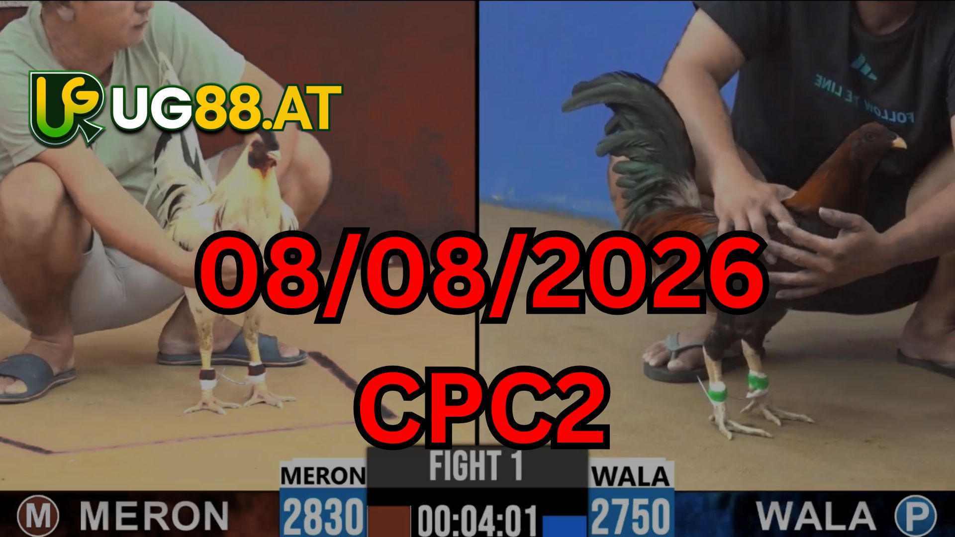 Video đá gà CPC2 Thomo hôm nay 08-08-2026