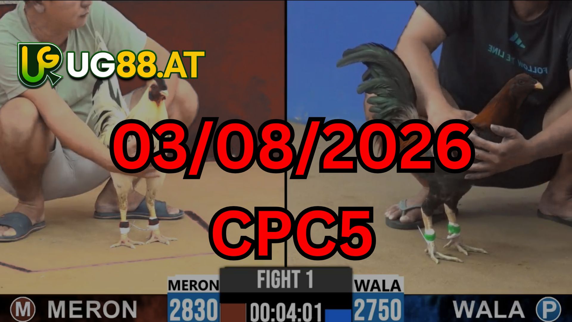 Video đá gà CPC5 Thomo hôm nay 03-08-2026