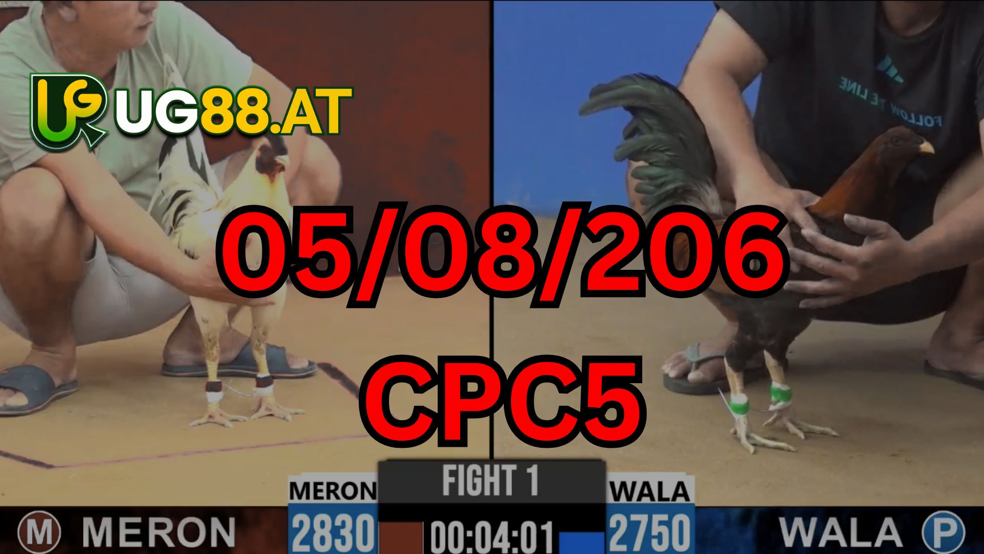 Video đá gà CPC5 Thomo hôm nay 05-08-2026
