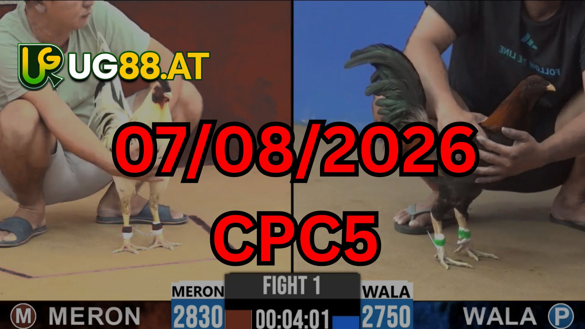Video đá gà CPC5 Thomo hôm nay 07-08-2026