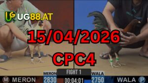 Video đá gà CPC4 Thomo hôm nay 15-04-2026