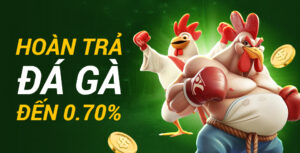 Hoàn trả Đá Gà thomo 0.7% không giới hạn tại UG88