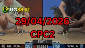 Video đá gà CPC2 Thomo hôm nay 29-04-2026