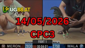 Video đá gà CPC3 Thomo hôm nay 14-05-2026