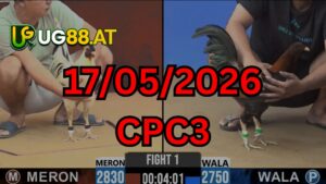 Video đá gà CPC3 Thomo hôm nay 17-05-2026
