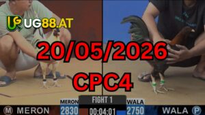 Video đá gà CPC4Thomo hôm nay 20-05-2026