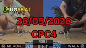 Video đá gà CPC4 Thomo hôm nay 26-05-2026