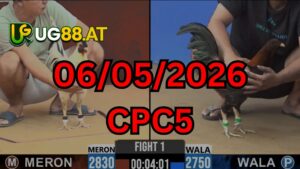 Video đá gà CPC5 Thomo hôm nay 06-05-2026