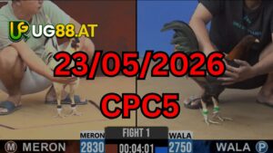 Video đá gà CPC5 Thomo hôm nay 23-05-2026