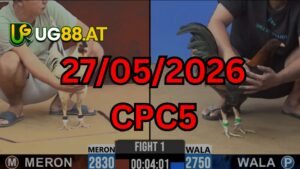 Video đá gà CPC5 Thomo hôm nay 27-05-2026