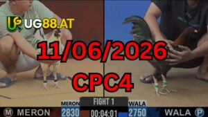 Video đá gà CPC4 Thomo hôm nay 11-06-2026