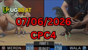 Video đá gà CPC4 Thomo hôm nay 07-06-2026
