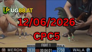 Video đá gà CPC5 Thomo hôm nay 12-06-2026