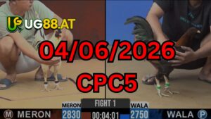 Video đá gà CPC5 Thomo hôm nay 4-06-2026