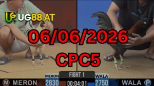 Video đá gà CPC5 Thomo hôm nay 06-06-2026