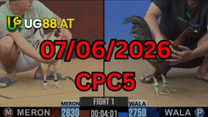 Video đá gà CPC5 Thomo hôm nay 07-06-2026
