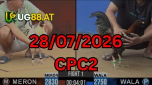 Video đá gà CPC2 Thomo hôm nay 28-07-2026