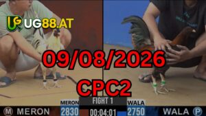 Video đá gà CPC2 Thomo hôm nay 09-08-2026