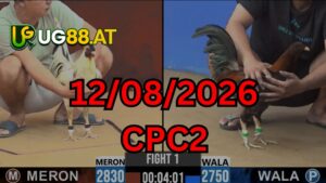 Video đá gà CPC2 Thomo hôm nay 12-08-2026