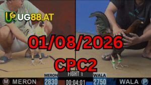 Video đá gà CPC2 Thomo hôm nay 01-08-2026