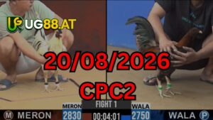 Video đá gà CPC2 Thomo hôm nay 20-08-2026