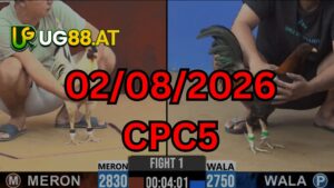 Video đá gà CPC5 Thomo hôm nay 02-08-2026