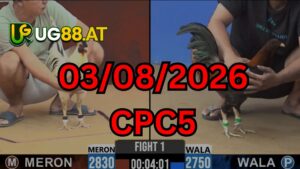 Video đá gà CPC5 Thomo hôm nay 03-08-2026