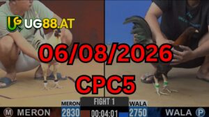 Video đá gà CPC5 Thomo hôm nay 06-08-2026